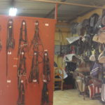 Pupilaje caballos Madrid