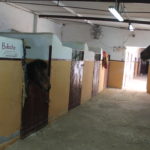 Pupilaje caballos Madrid